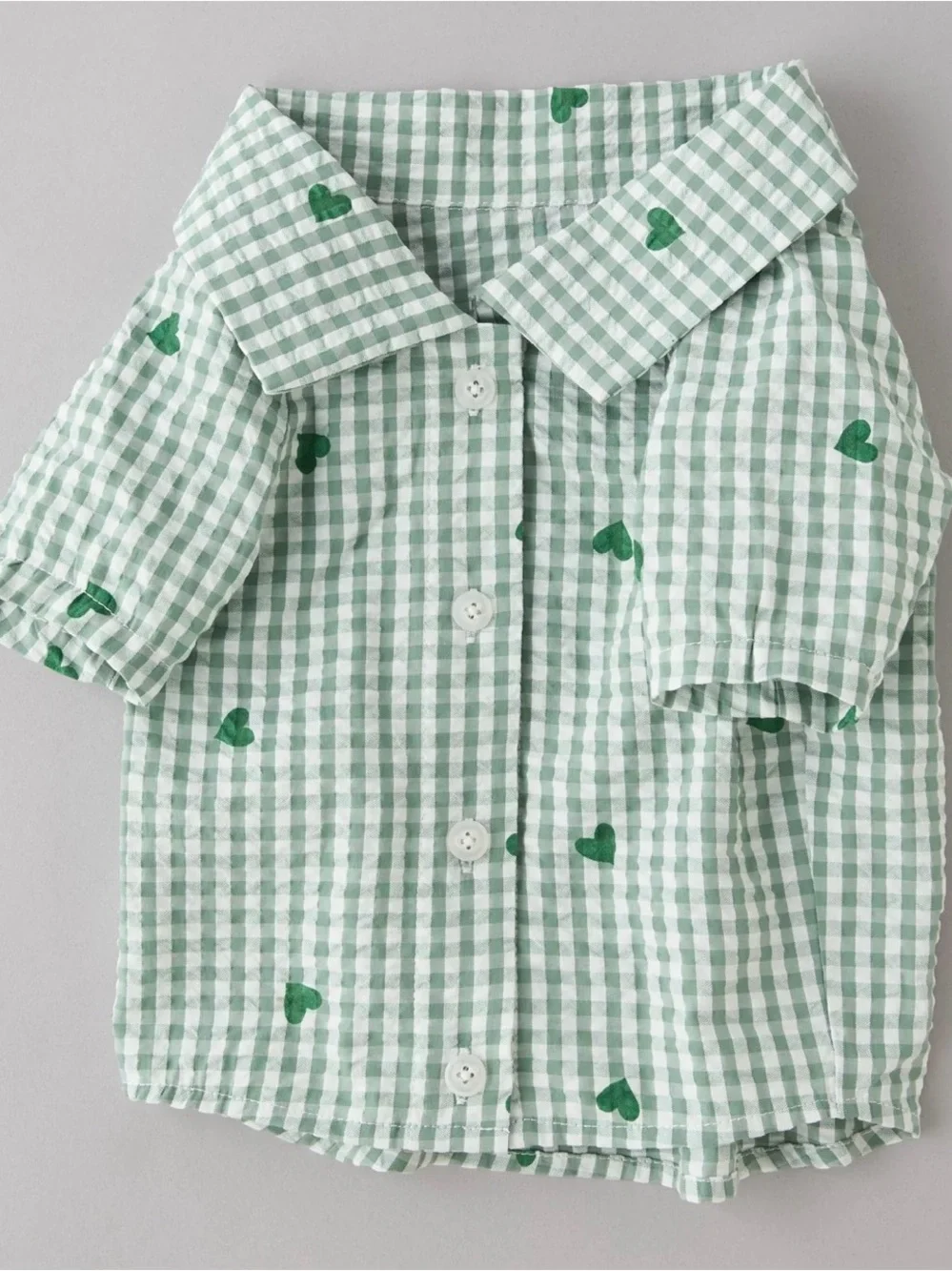 American Eagle Outfitters Green Gingham Heart Dog Shirt XL